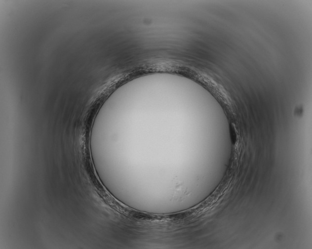 X0000096140306200801180858