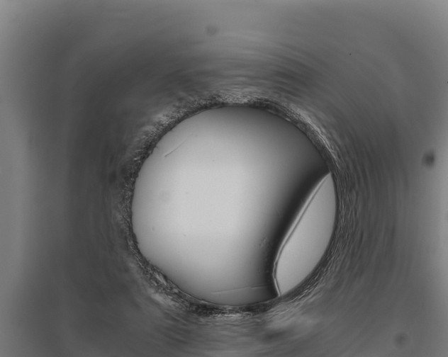 X0000096140307200801180858