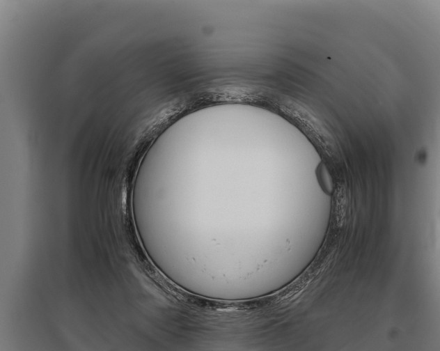 X0000096140310200801180858