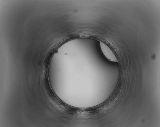 X0000096140311200801180858