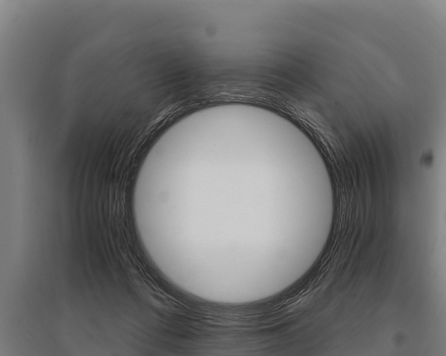 X0000096140312200801180858