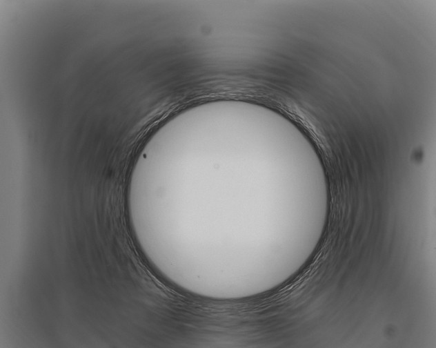 X0000096140313200801180858
