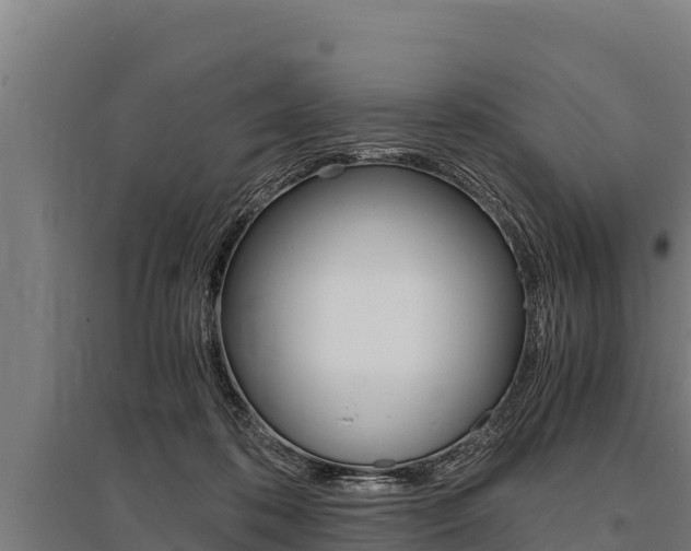 X0000096140316200801180858