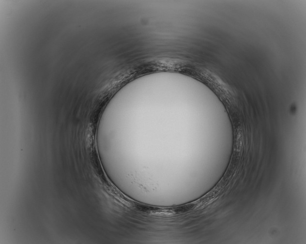 X0000096140318200801180858