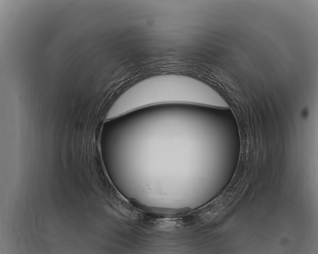 X0000096140320200801180857