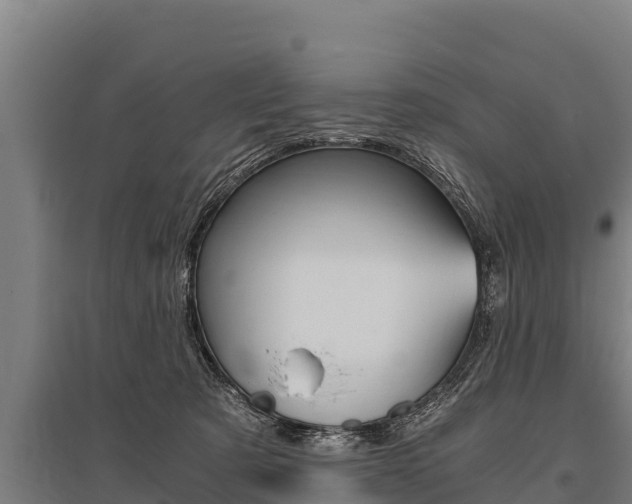 X0000096140321200801180857