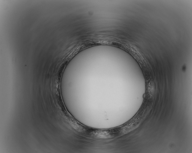 X0000096140322200801180857
