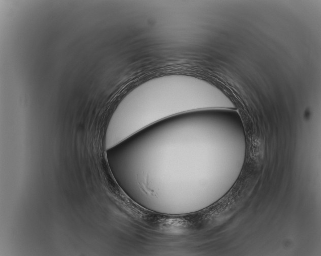 X0000096140324200801180857
