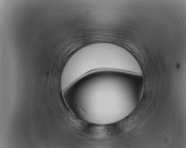 X0000096140325200801180857
