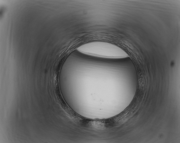 X0000096140327200801180857