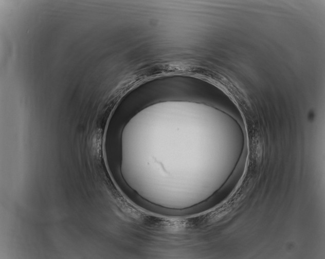 X0000096140328200801180857