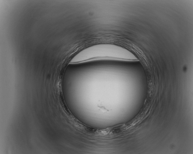 X0000096140329200801180857