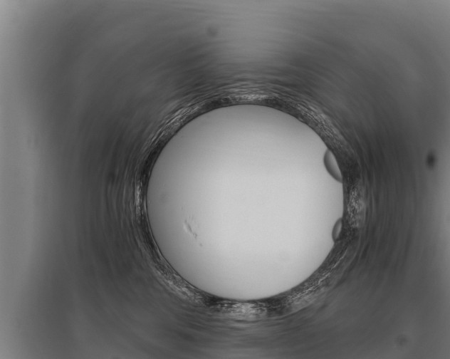 X0000096140330200801180857
