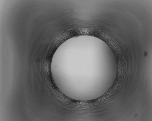 X0000096140331200801180857