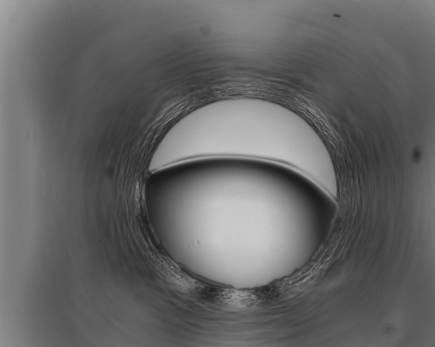 X0000096140333200801180857