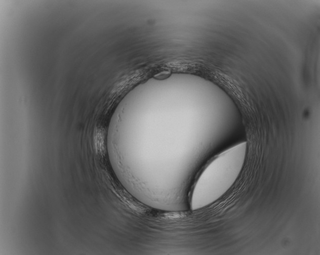 X0000096140335200801180857