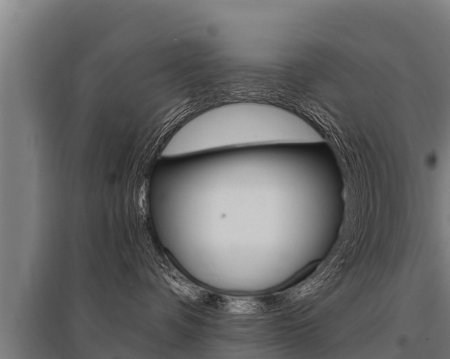 X0000096140336200801180857