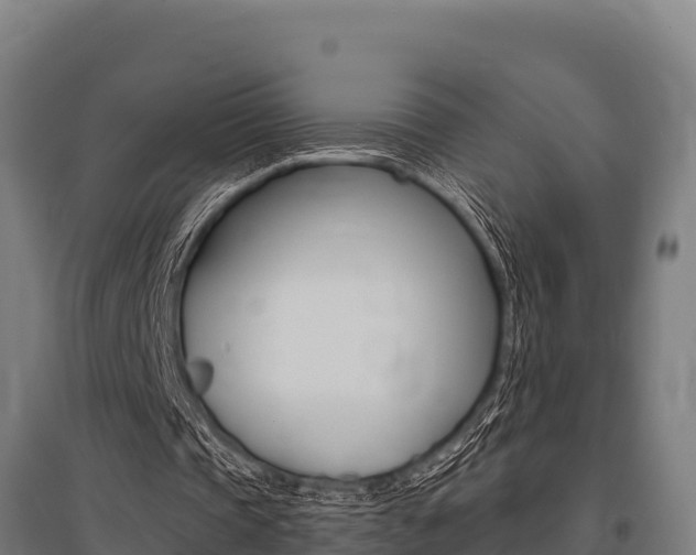 X0000096140337200801180856