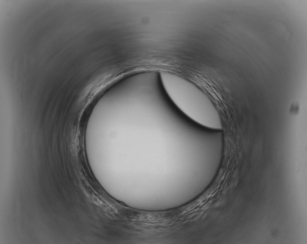 X0000096140338200801180856