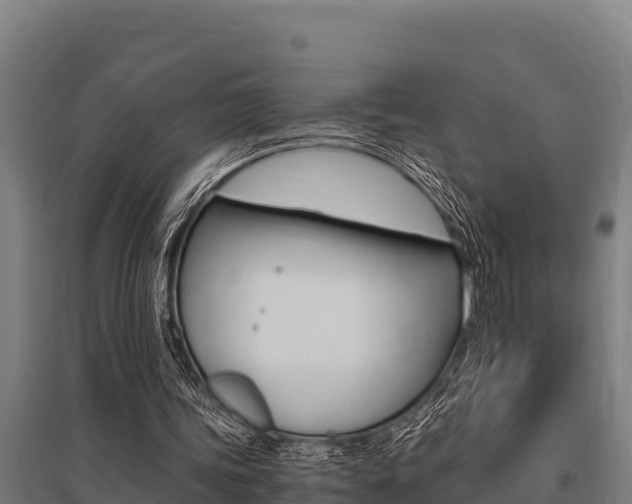 X0000096140339200801180856