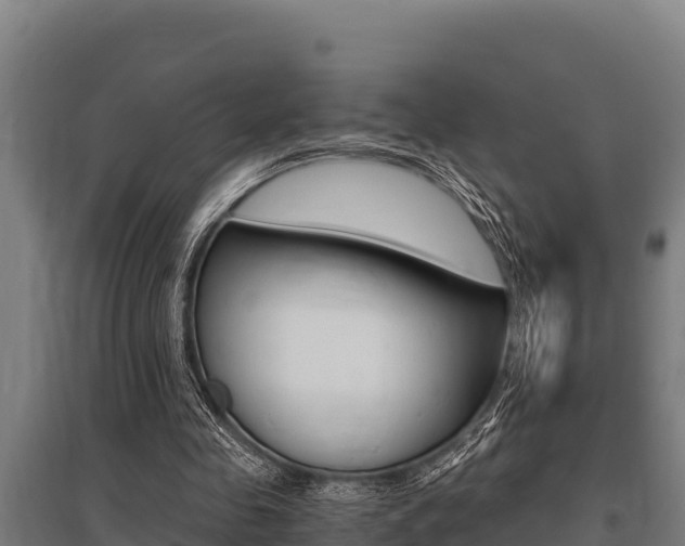 X0000096140341200801180856