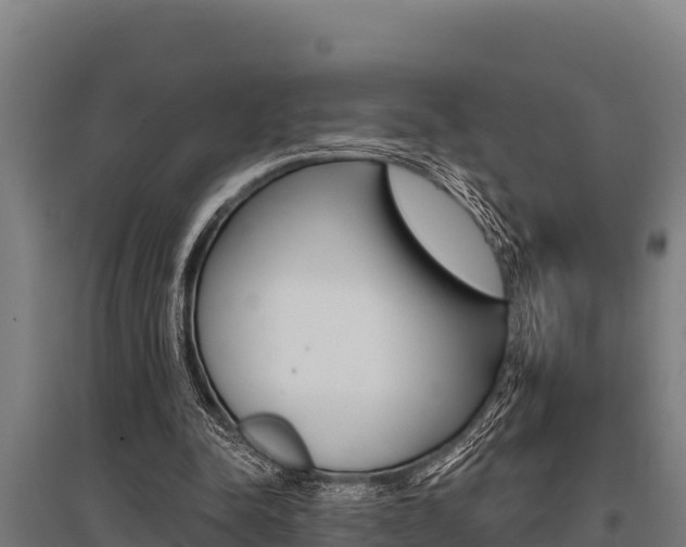 X0000096140342200801180856