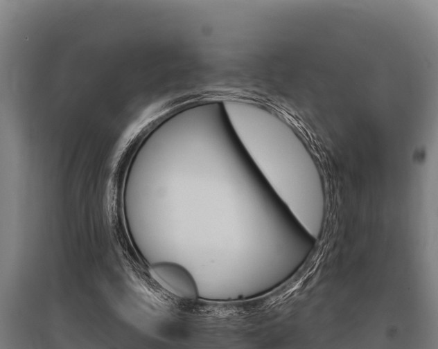 X0000096140343200801180857