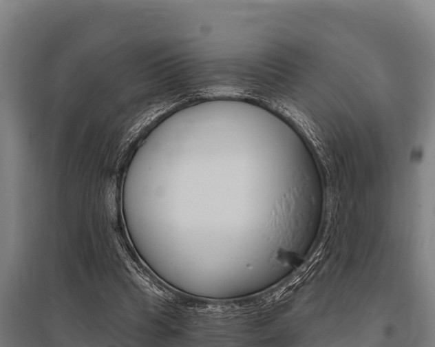 X0000096140345200801180857