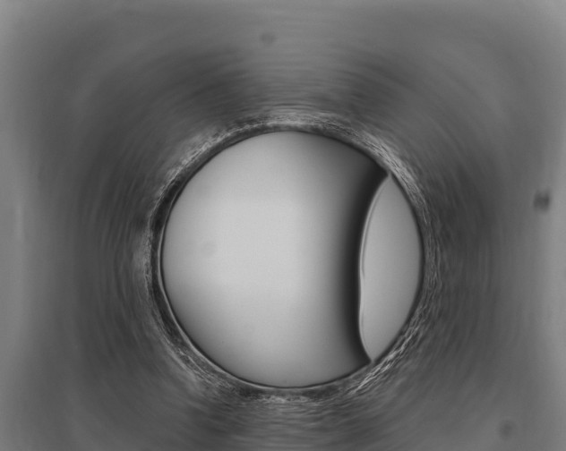 X0000096140346200801180857