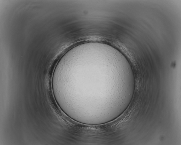 X0000096140347200801180857