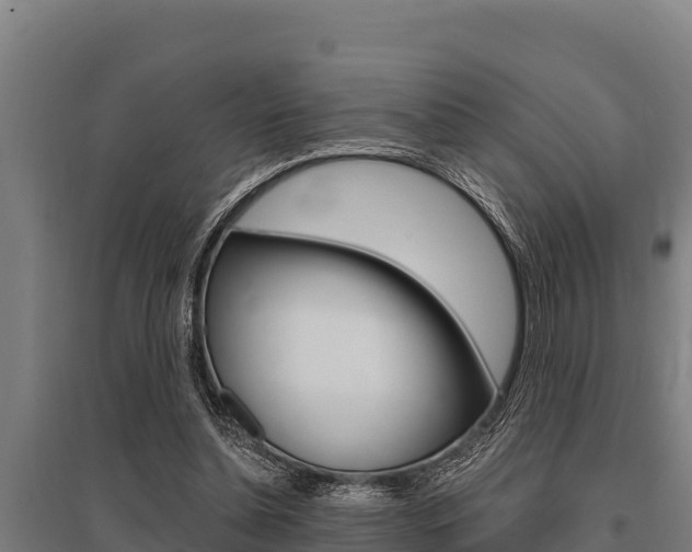 X0000096140348200801180857
