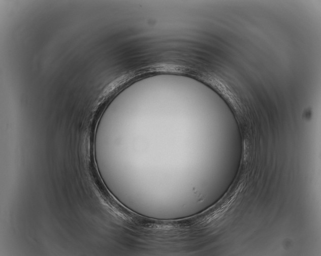 X0000096140349200801180857