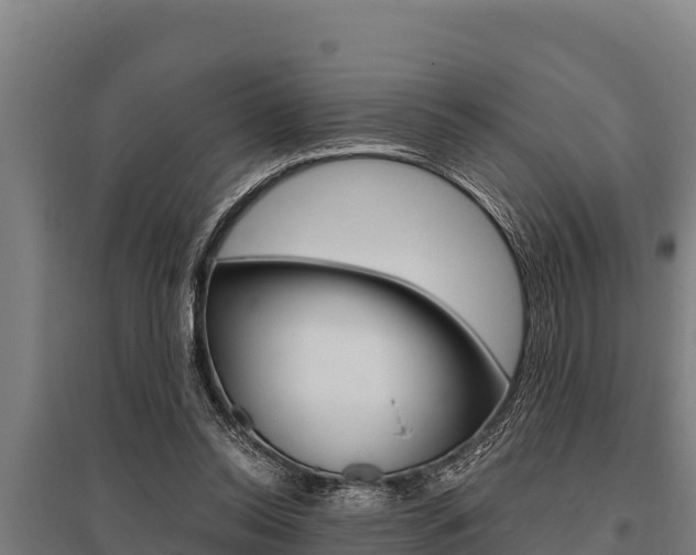 X0000096140350200801180857