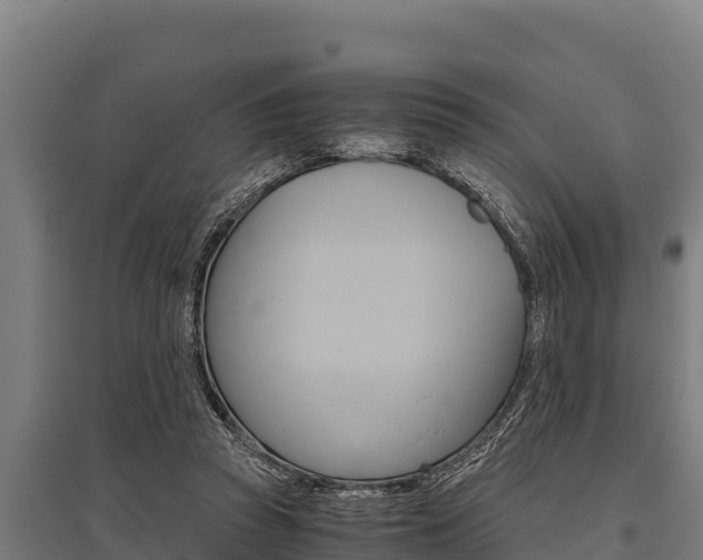 X0000096140353200801180857