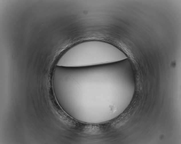 X0000096140354200801180857
