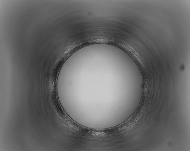 X0000096140355200801180857