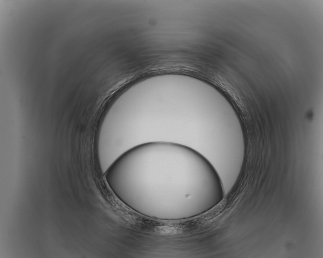 X0000096140356200801180857