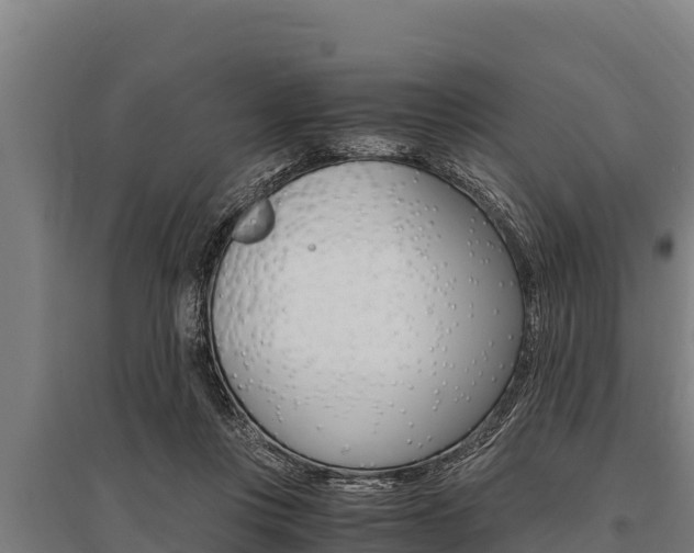 X0000096140359200801180857