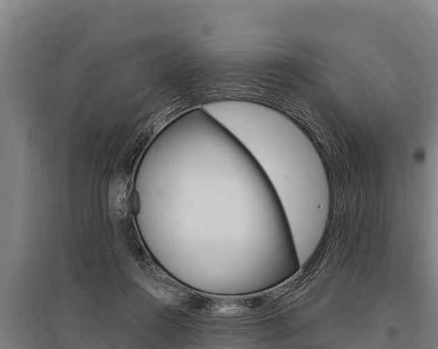 X0000096140360200801180857