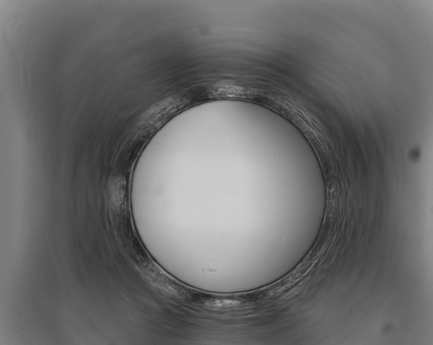 X0000096140361200801180857