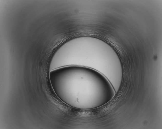 X0000096140362200801180857