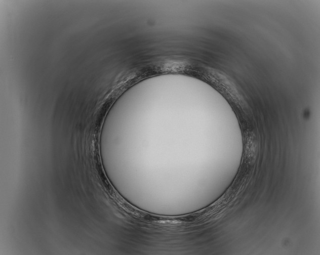 X0000096140363200801180857