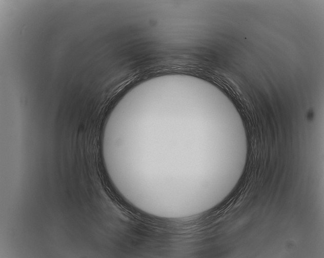 X0000096140364200801180857