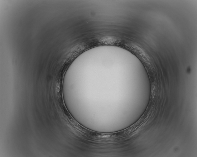 X0000096140365200801180857
