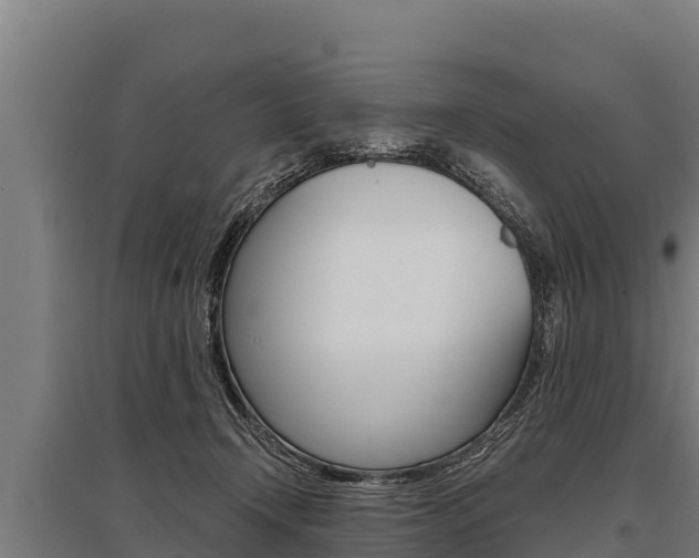 X0000096140366200801180857