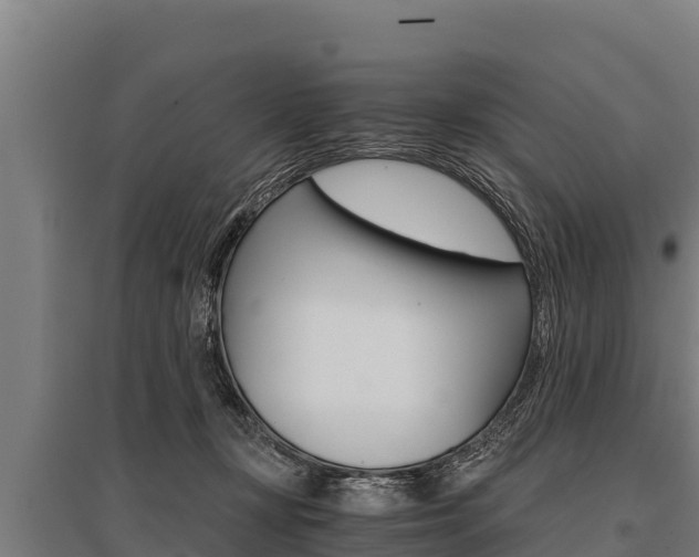 X0000096140367200801180857