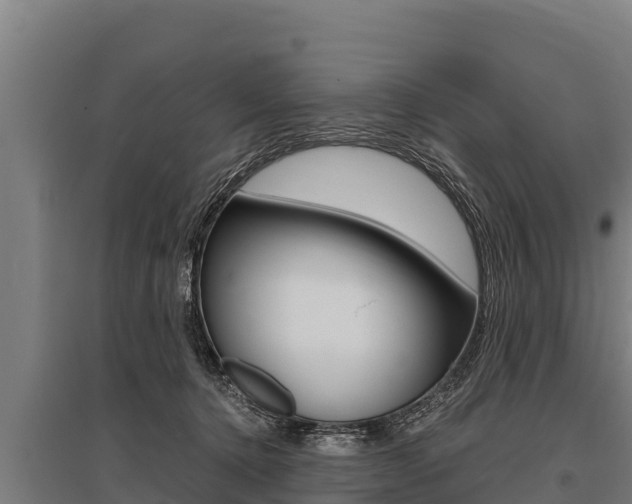 X0000096140368200801180857