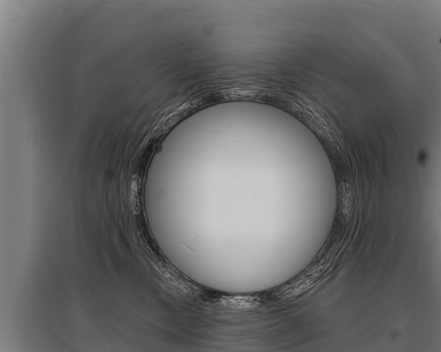 X0000096140378200801180857