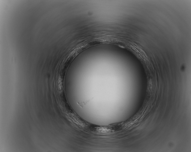 X0000096140380200801180857