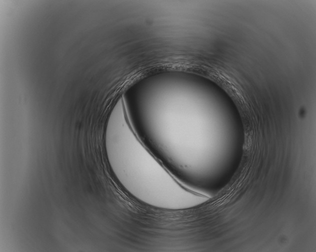 X0000096140382200801180857